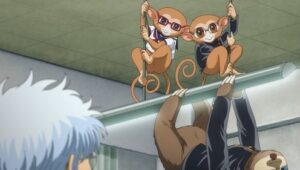GINTAMA - Mr. Ginpachi's Zany Class กินทามะ ปี 3 ห้อง Z ครูซ่ากินปาจิ ตอนที่ 2 ซับไทย