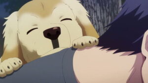 Hanazakari no Kimitachi e สับขั้วมาลุ้นรัก ตอนที่ 1 ซับไทย