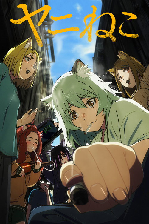 ดูอนิเมะ Yani Neko แมวสาวอมควัน ซับไทย